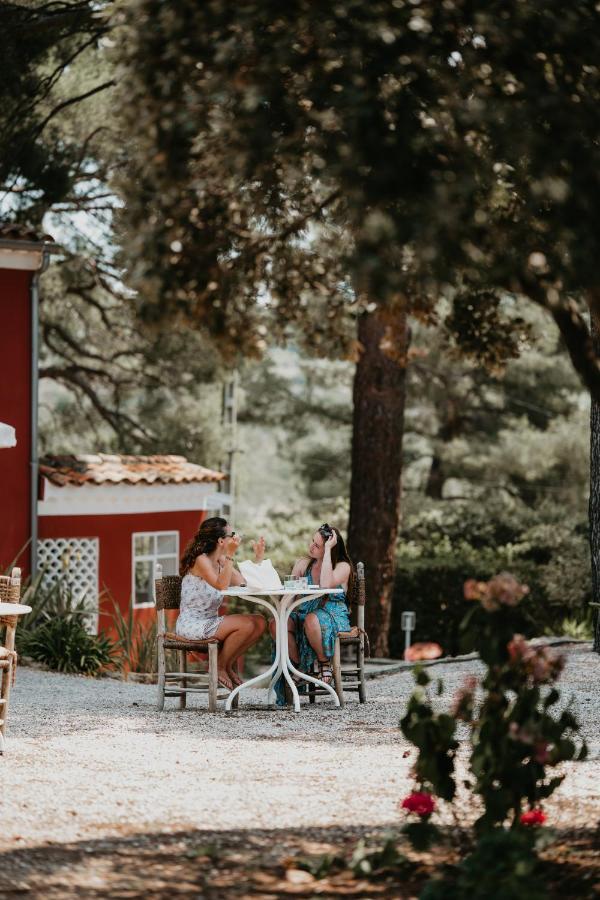 Bed and Breakfast Le Cigalon Le Beausset Esterno foto